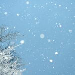 雪の種類と名前 100選｜降り方・積もり方・別名まとめ