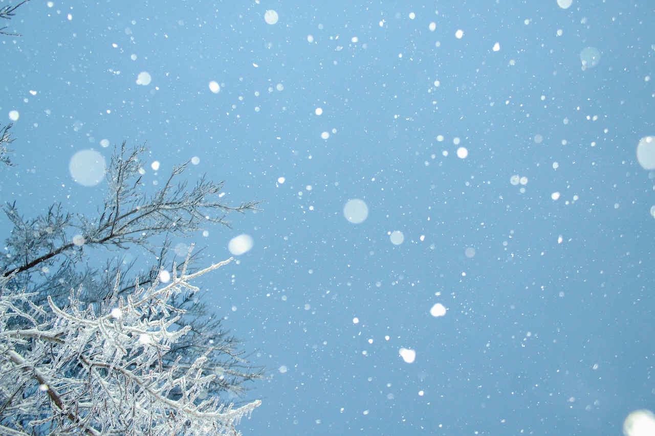 雪の種類と名前 100選|降り方・積もり方・別名まとめ