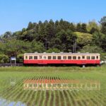 美しい日本語の言葉121選｜読み方・意味つき自然・感情・古語まとめ