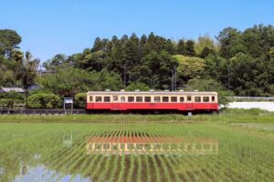 美しい日本語の言葉121選｜読み方・意味つき自然・感情・古語まとめ
