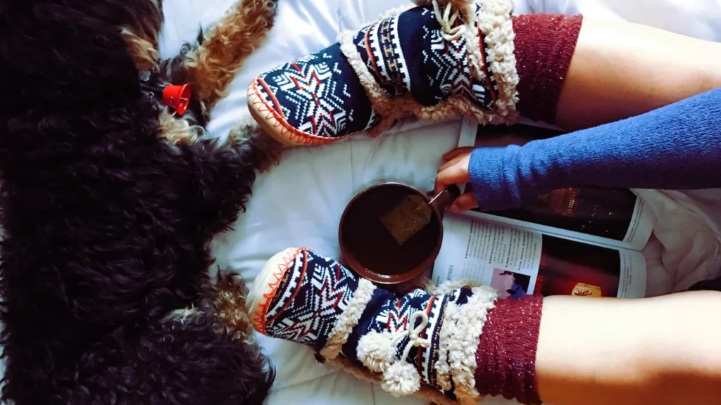 Hygge（ヒュッゲ）とは｜デンマーク語が持つ温かい幸福感の正体【ことのは図鑑】
