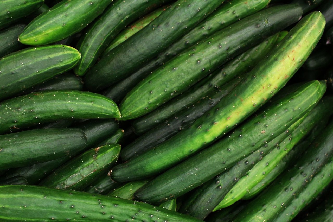 キュウリはギネス認定「栄養最低野菜」?その真実