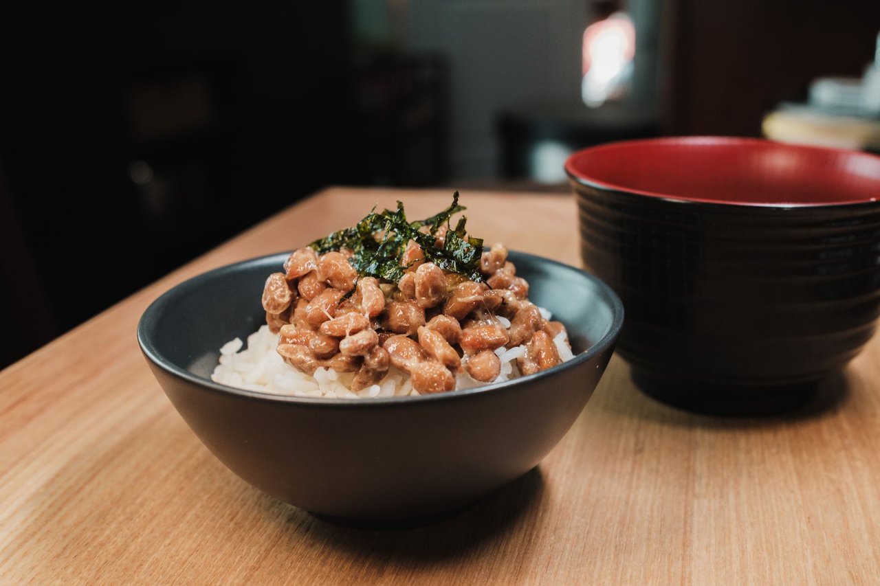 発酵食品の科学:味噌・醤油・チーズが生まれる仕組み