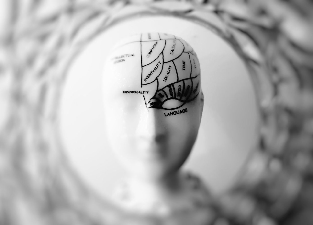 ① 脳は「痛みを感じない」唯一の臓器