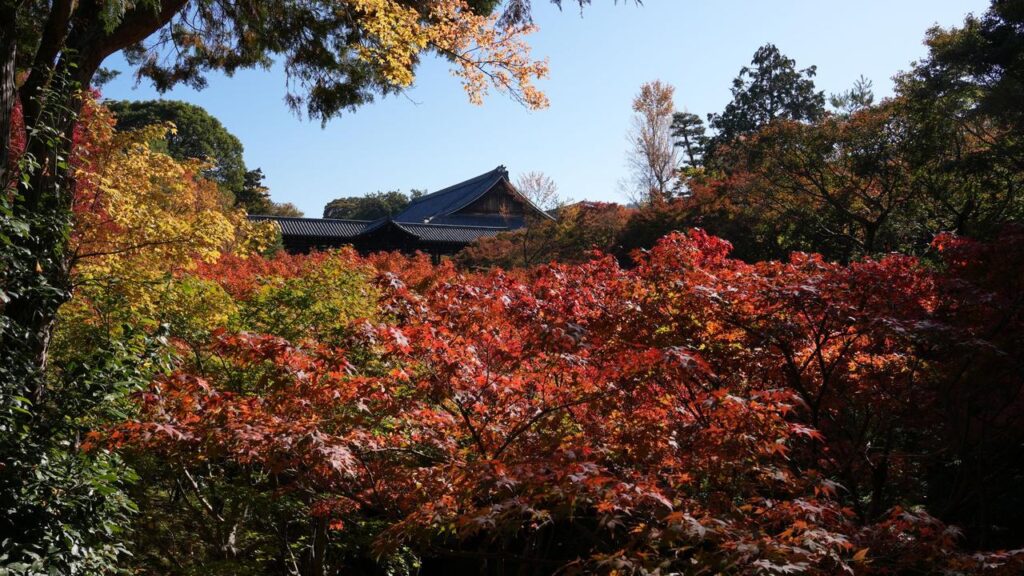 日本の妖怪まとめ20選｜古典妖怪の伝承・由来・発祥地を解説