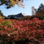 日本の妖怪まとめ20選｜古典妖怪の伝承・由来・発祥地を解説