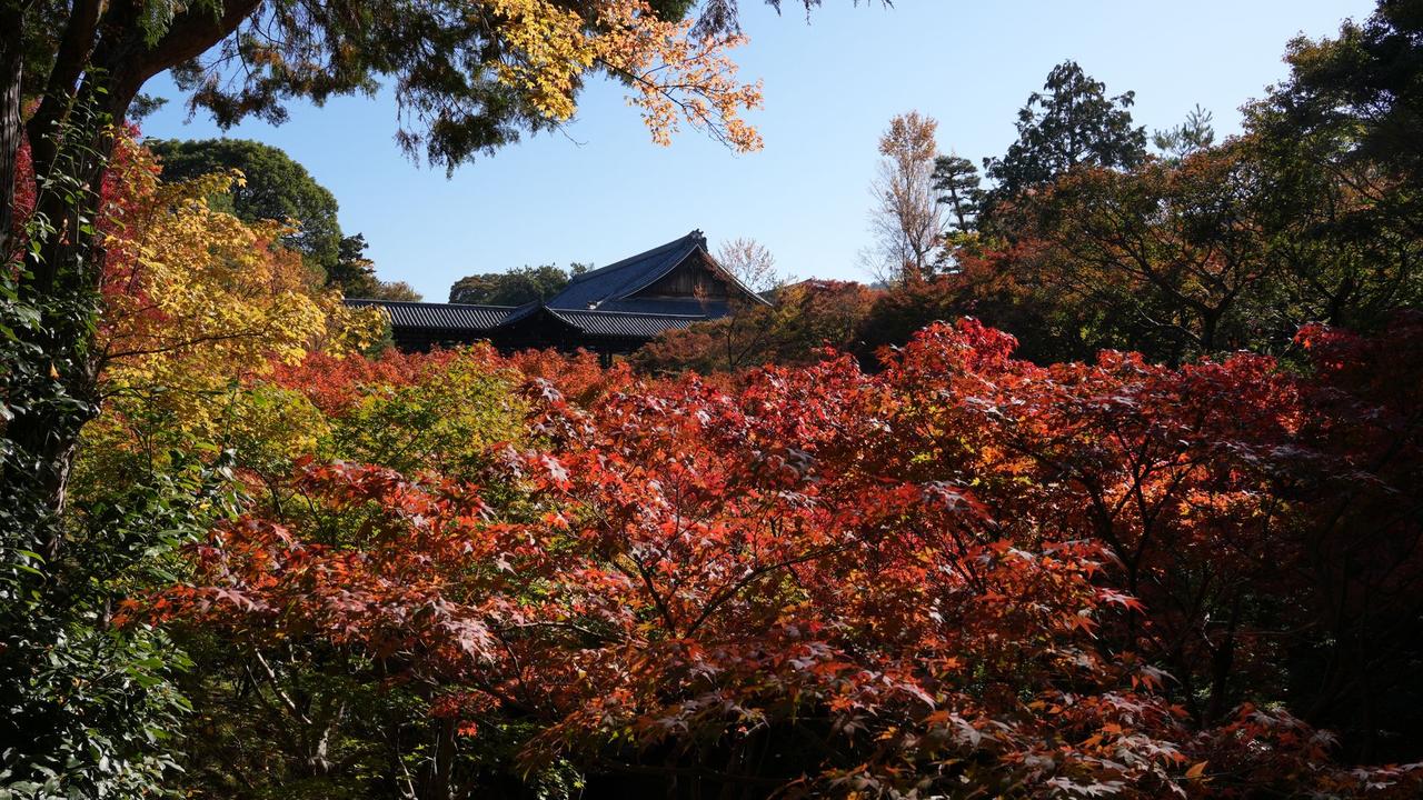 日本の妖怪まとめ20選|古典妖怪の伝承・由来・発祥地を解説