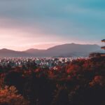 日本の残念な世界一ランキング10選｜農薬・添加物・自殺率の実態