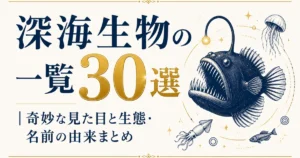 深海生物の一覧30選｜奇妙な見た目と生態・名前の由来まとめ