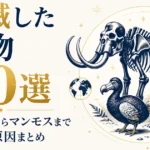 絶滅した動物30選｜ドードーからマンモスまで絶滅の原因まとめ