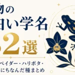 生物の面白い学名32選｜ダース・ベイダー・ハリポタ・ビヨンセにちなんだ種まとめ