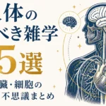 人体の驚くべき雑学25選｜脳・心臓・細胞の面白い不思議まとめ