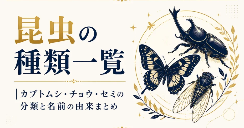 昆虫の種類一覧｜カブトムシ・チョウ・セミの分類と名前の由来まとめ