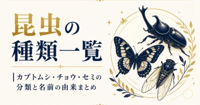 昆虫の種類一覧｜カブトムシ・チョウ・セミの分類と名前の由来まとめ