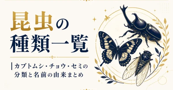 昆虫の種類一覧｜カブトムシ・チョウ・セミの分類と名前の由来まとめ