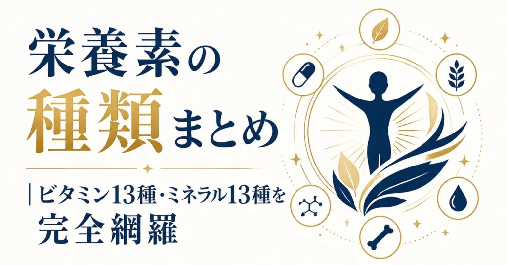栄養素の種類まとめ｜ビタミン13種・ミネラル13種を完全網羅