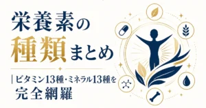 栄養素の種類まとめ｜ビタミン13種・ミネラル13種を完全網羅