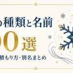 雪の種類と名前 100選｜降り方・積もり方・別名まとめ