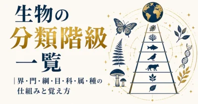 生物の分類階級一覧｜界・門・綱・目・科・属・種の仕組みと覚え方