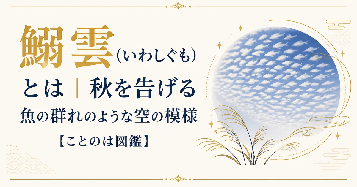 鰯雲(いわしぐも)とは|秋を告げる魚の群れのような空の模様【ことのは図鑑】