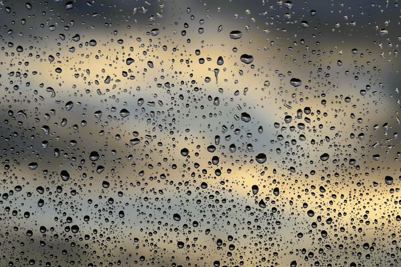 気象庁が年に一度だけ認定する「木枯らし一号」