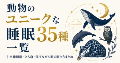 動物のユニークな睡眠35種一覧｜半球睡眠・立ち寝・飛びながら眠る眠り方まとめ