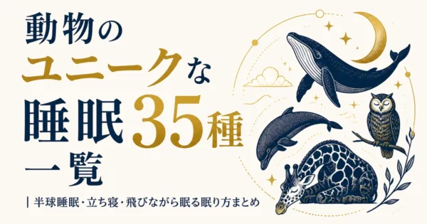 動物のユニークな睡眠35種一覧｜半球睡眠・立ち寝・飛びながら眠る眠り方まとめ