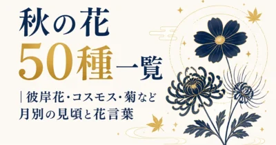 秋の花50種一覧｜彼岸花・コスモス・菊など月別の見頃と花言葉