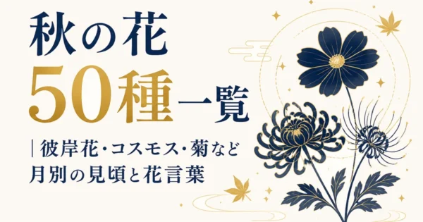 秋の花50種一覧｜彼岸花・コスモス・菊など月別の見頃と花言葉