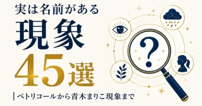 実は名前がある現象45選｜ペトリコールから青木まりこ現象まで