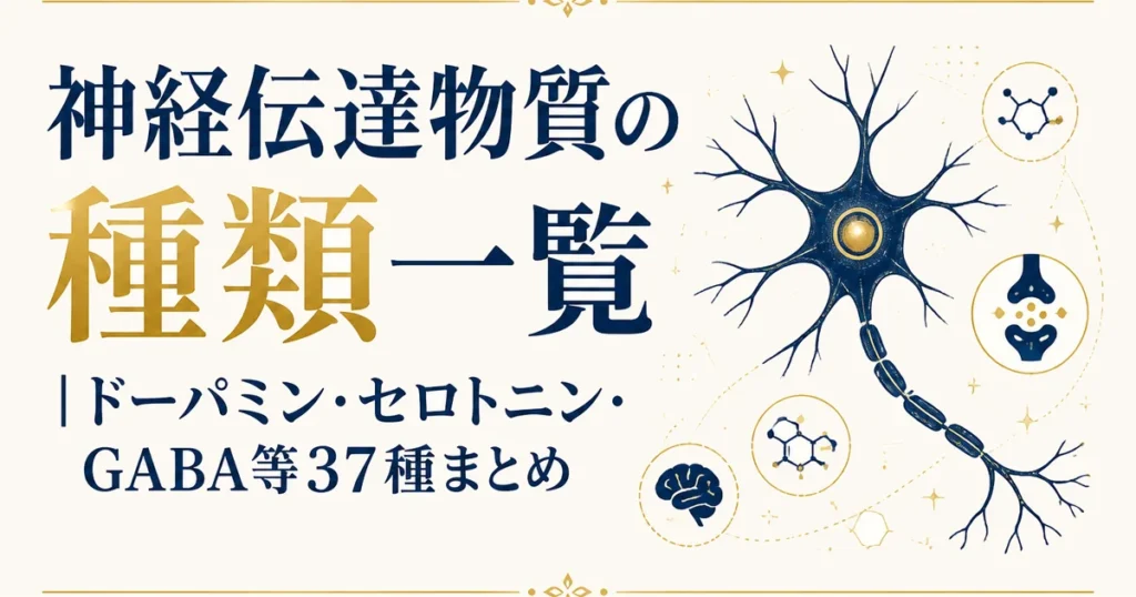 神経伝達物質の種類一覧｜ドーパミン・セロトニン・GABA等37種まとめ