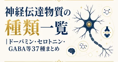 神経伝達物質の種類一覧｜ドーパミン・セロトニン・GABA等37種まとめ