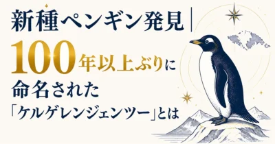 新種ペンギン発見｜100年以上ぶりに命名された「ケルゲレンジェンツー」とは