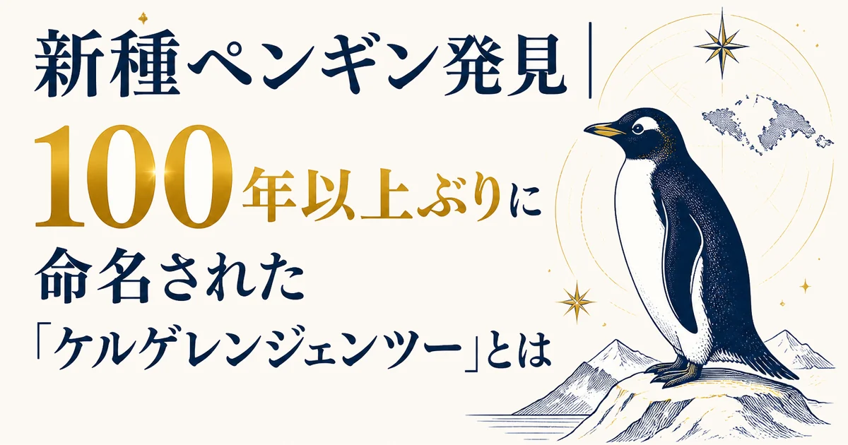新種ペンギン発見|100年以上ぶりに命名された「ケルゲレンジェンツー」とは