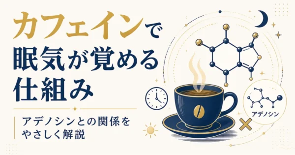 カフェインで眠気が覚める仕組み｜アデノシンとの関係をやさしく解説