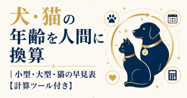 犬・猫の年齢を人間に換算｜小型・大型・猫の早見表【計算ツール付き】