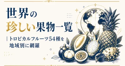 世界の珍しい果物一覧｜トロピカルフルーツ54種を地域別に網羅