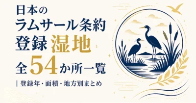 日本のラムサール条約登録湿地全54か所一覧｜登録年・面積・地方別まとめ