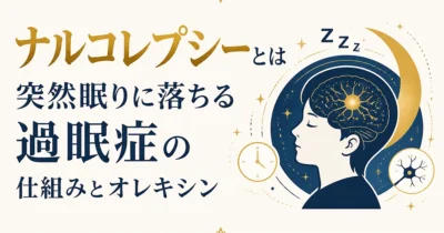 ナルコレプシーとは｜突然眠りに落ちる過眠症の仕組みとオレキシン