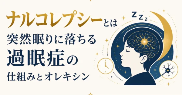 ナルコレプシーとは｜突然眠りに落ちる過眠症の仕組みとオレキシン