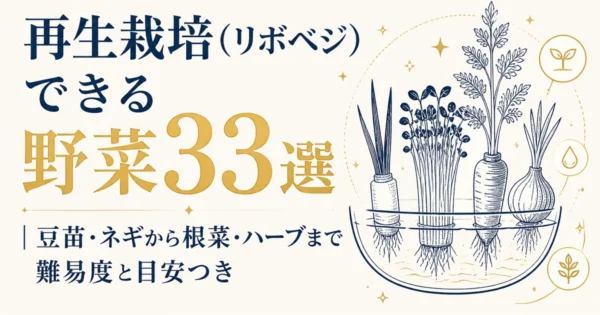 再生栽培（リボベジ）できる野菜33選｜豆苗・ネギから根菜・ハーブまで難易度と目安つき