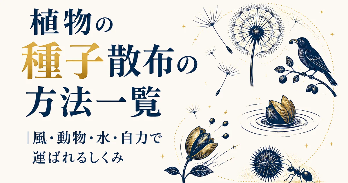 植物の種子散布の方法一覧｜風・動物・水・自力で運ばれるしくみ