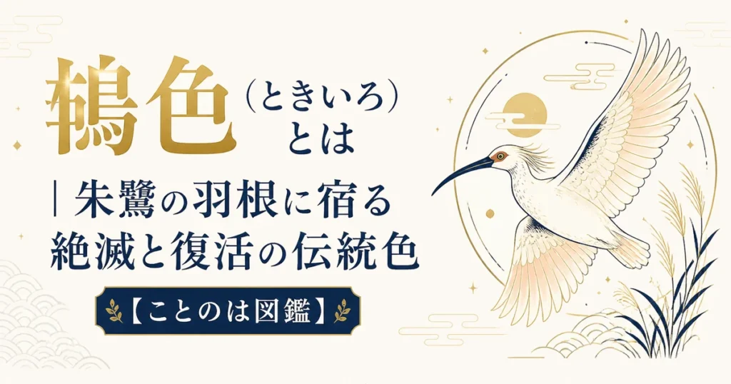 鴇色（ときいろ）とは｜朱鷺の羽根に宿る絶滅と復活の伝統色【ことのは図鑑】