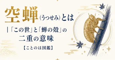空蝉（うつせみ）とは｜「この世」と「蝉の殻」の二重の意味【ことのは図鑑】